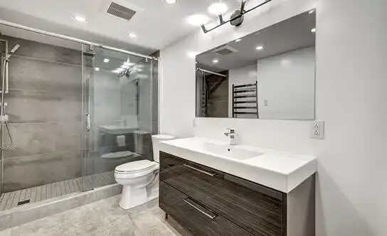 bathroom services Paloma Creek South